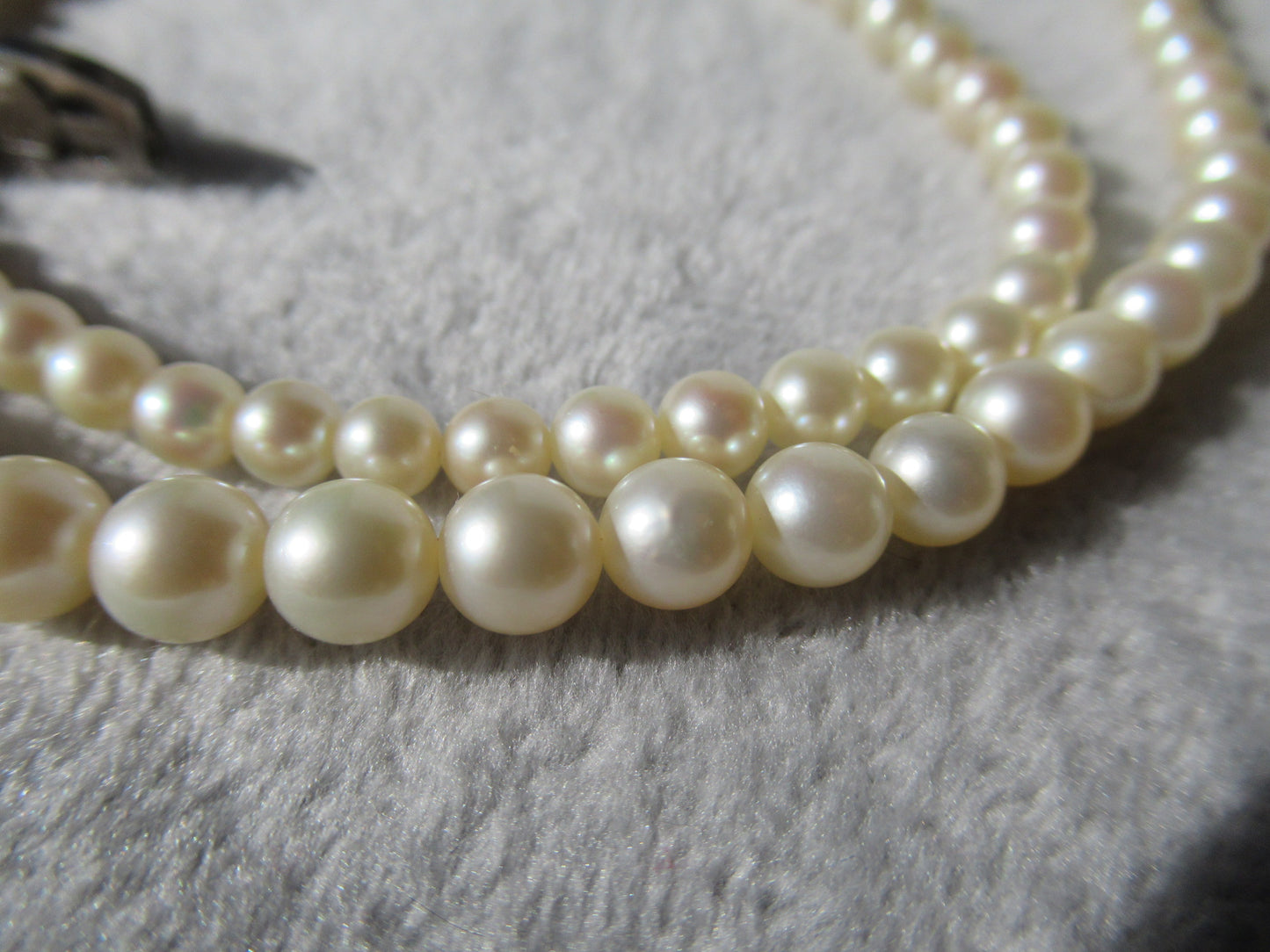 Mikimoto Akoya pearl vintage graduated necklace with the original box